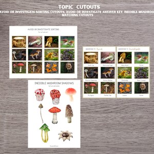 Mushroom Unit Study: Life Cycle, Anatomy, Identification (PDF Download ...
