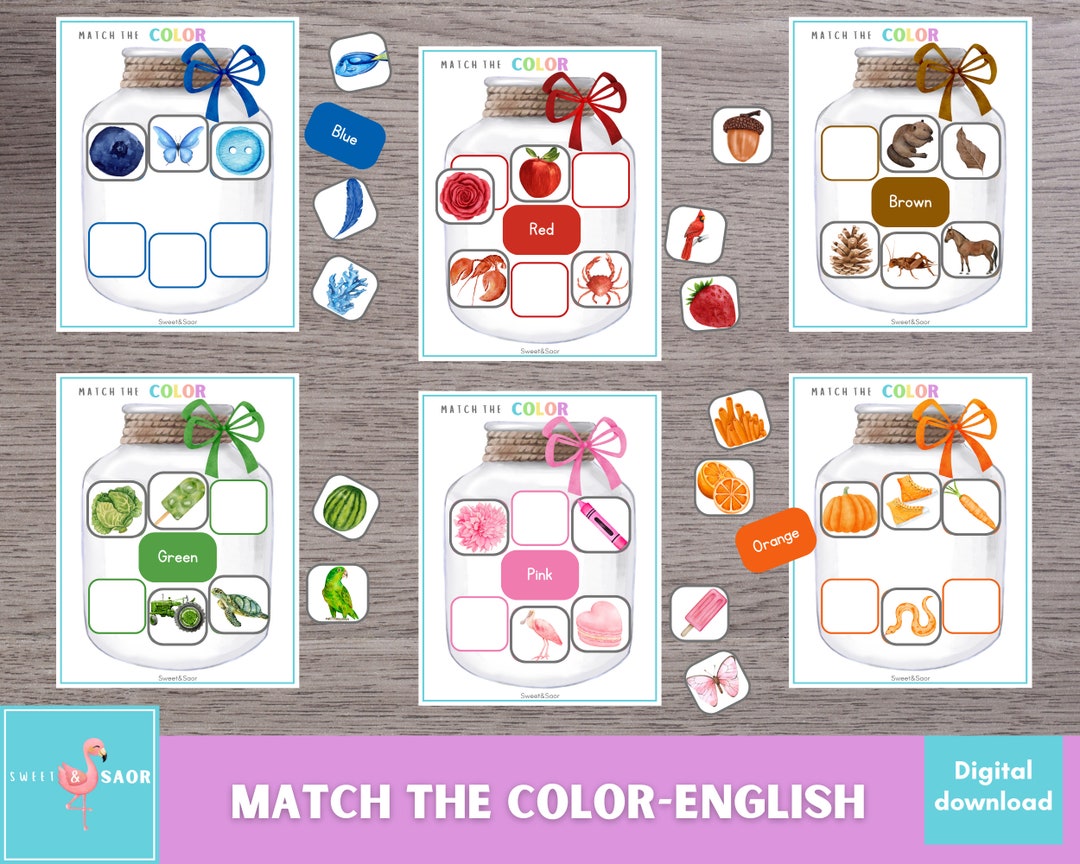 Color Sorting Game: Preschool Printable Activity (digital Download) - Etsy