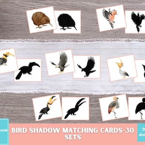 Tarjetas de emparejamiento de sombras de pájaros, tarjetas Montessori para niños pequeños, actividad de pájaros para preescolar, juego de emparejamiento de siluetas
