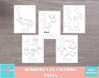 20 Printable Numbers Coloring Pages, Coloring Pages for Kids, Preschool Coloring Pages, Homeschool Printable, Coloring Page