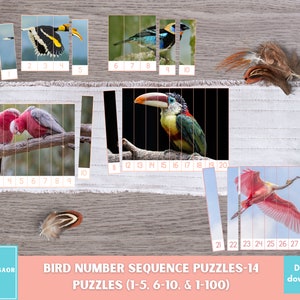 Puede incluir: Un conjunto de 14 rompecabezas de secuencia numérica de pájaros imprimibles para niños. Los rompecabezas presentan diferentes especies de pájaros, incluyendo un tucán, un flamenco rosado y un loro. Los rompecabezas están diseñados para ayudar a los niños a aprender la secuencia numérica del 1 al 100.