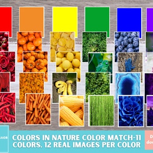 Cartes de correspondance, Couleurs dans la nature, Téléchargement instantané d'apprentissage précoce, Cartes de tri des couleurs Montessori, École préscolaire à la maison