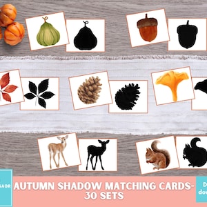 May include: A set of 30 printable autumn shadow matching cards. The cards feature images of fall leaves, acorns, pinecones, gourds, deer, and squirrels. The cards are perfect for preschoolers and kindergarteners to practice their fine motor skills and learn about the different parts of an autumn forest.