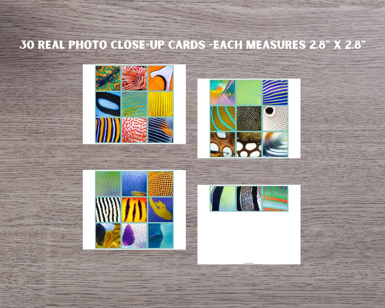 Pattern Matching Fish Fish Pattern Matching Activity, Montessori Visual Skills Printable ...