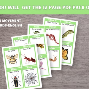 Insect Movement Cards: Multilingual Kids Action Activity (digital ...