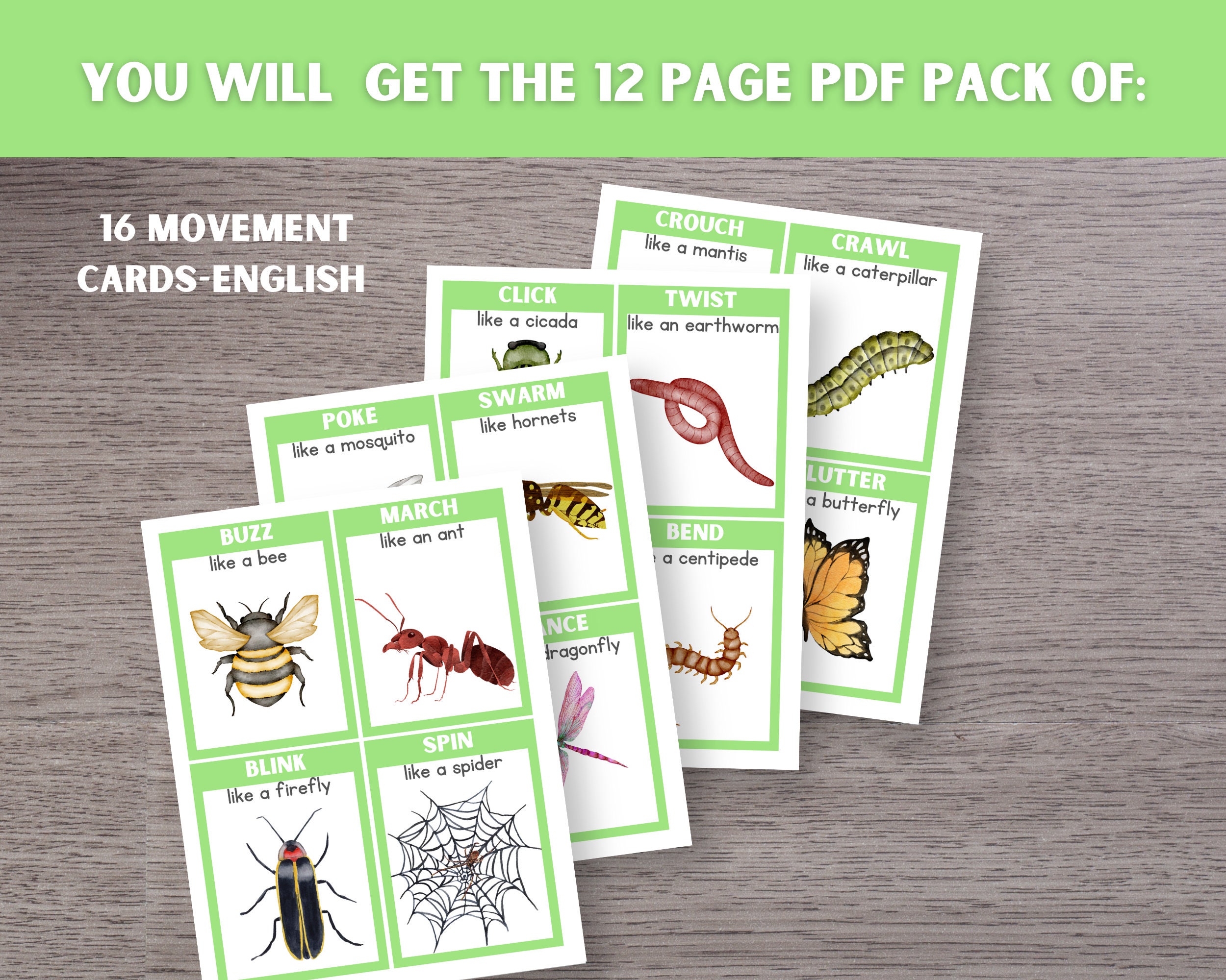 Insect Movement Sort Insect Movement Cards: Multilingual Kids Action Activity (digital ...
