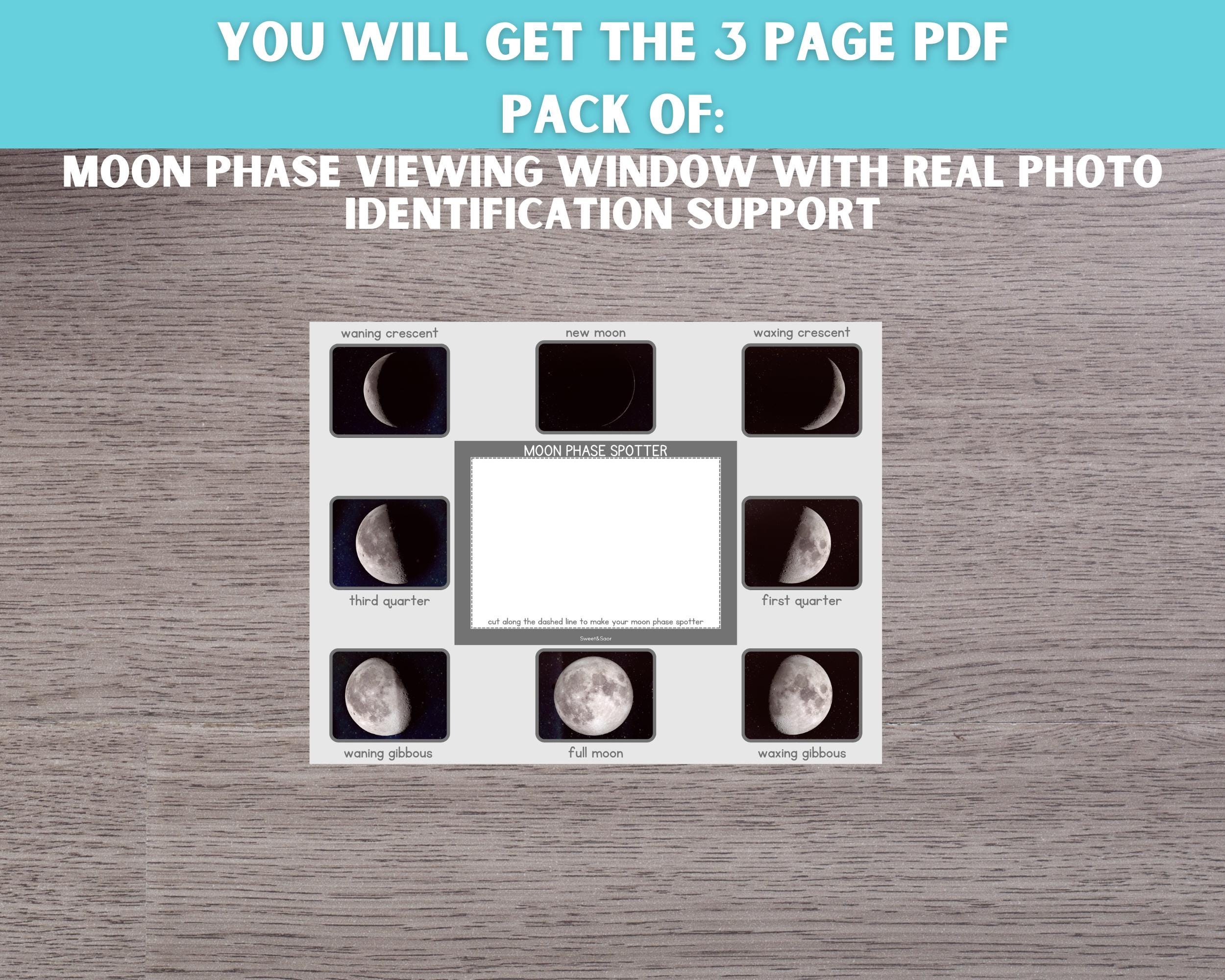 Moon Phase Viewer & Flashcards: Printable Space Study (PDF Download) - Etsy