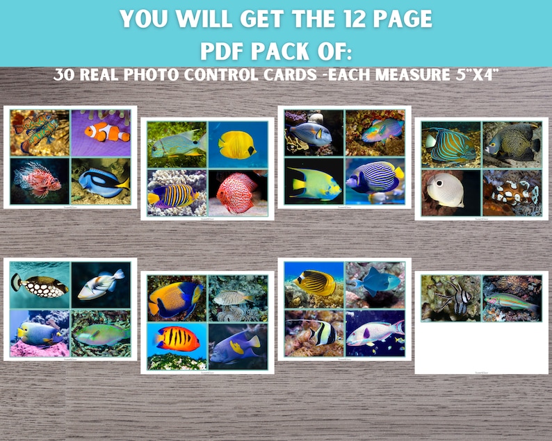 Pattern Matching Fish Fish Pattern Matching Activity, Montessori Visual Skills Printable ...