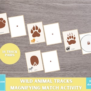 Attività di abbinamento con impronte di animali, gioco con lente di ingrandimento, materiale Montessori, attività con impronte di animali per la scuola materna e l'asilo
