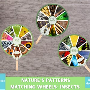 Może przedstawiać: Trzy kolorowe papierowe koła z obrazami motyli, chrząszczy i motyli. Każde koło zawiera tekst "Match the" i nazwę owada. Koła znajdują się na drewnianym tle.