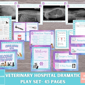 Vet Clinic Pretend Play Printable, Vet Dramatic Play Printable, Dramatic Play Centers, Preschool Activities, Kindergarten Centers