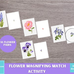 Blumen-Vergrößerungsspiel, Magni-Match-Spiel, Lupenspiel, Montessori-Material, Blumenaktivität für Vorschule und Kindergarten