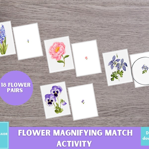 Flower Magnifying Match Activity, Magni Match Game, Magnifying Glass Game, Montessori Material, Flower Activity for Preschool & Kindergarten