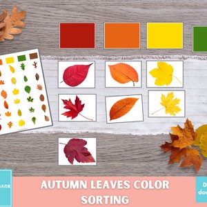 Classificação de cores de folhas de outono, correspondência de cores de outono para impressão, atividade de folhas para crianças em idade pré-escolar, cartões de classificação de cores Montessori