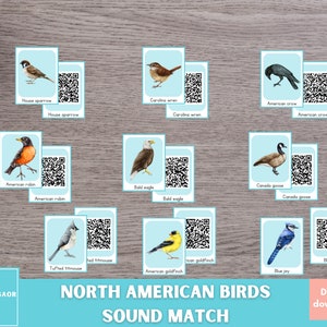 Birds and Their Sounds Printable, North American Bird Sound Identifier Flashcards, Printable QR  Quest Matching Game
