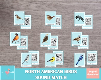 North American Bird Sound Matching Game: QR Code Quest (PDF Download)