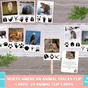 動物の足跡クリップカード（印刷可能）、北米の動物の足跡識別ゲーム、子供向けの自然クリップカード