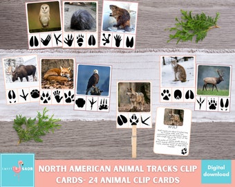 Animal Footprint Clip Cards: North American Animal Track Game (PDF Download)