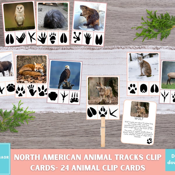 Animal Tracking Cards for Kids Etsy UK