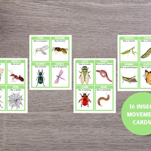 May include: 16 colorful cards with illustrations of insects and their movement descriptions.  Each card has a green background with white text and a white border.  The text on the cards includes words like "buzz", "march", "scurry", "dance", "click", "twist", "climb", "bend", "crouch", "crawl", "spring", "flutter", "poke", "swarm", "blink", and "spin".