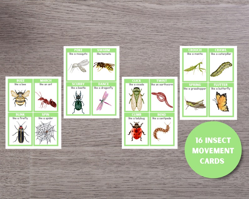 May include: 16 colorful cards with illustrations of insects and their movement descriptions.  Each card has a green background with white text and a white border.  The text on the cards includes words like "buzz", "march", "scurry", "dance", "click", "twist", "climb", "bend", "crouch", "crawl", "spring", "flutter", "poke", "swarm", "blink", and "spin".