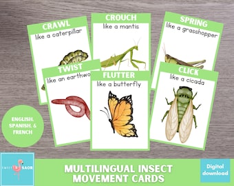 Insectenbewegingskaarten: meertalige actieactiviteit voor kinderen (digitale download)