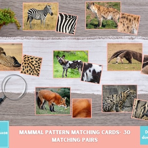 Cartões para impressão de correspondência de padrões de animais, jogo de correspondência de mamíferos do mundo Montessori, atividade para crianças pequenas em idade pré-escolar