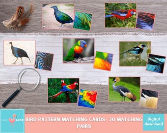 Juego de emparejamiento de patrones de aves, tarjetas con patrones de animales, actividad científica Montessori, educación sobre la naturaleza, aprendizaje en el hogar