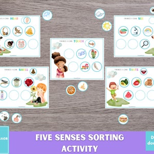 Five Senses Sorting Activity Printable, 5 Senses Sorting, Human Body Worksheets, Preschool Busy Book, Homeschool Resource, Human Body Sort