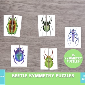 Puzzle di simmetria di scarabei, stampabili ispirati a Montessori, attività di abbinamento, abilità visive per bambini, risorsa per l'istruzione parentale