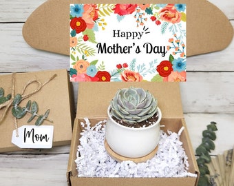 Personalized Mother's Day Gift Box- Gift From Daughter- Mother's Day Card- Gift For Her- Best Mom Ever- Succulent