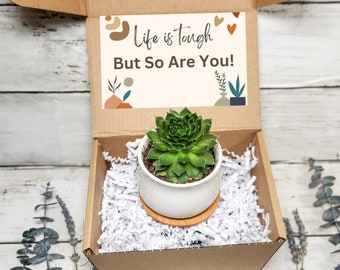 Life Is Tough But So Are You Gift Box- Succulent Gift-Encouragement Gift