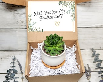 Will You Be My Bridesmaid?- Bridesmaid Proposal Box- Bridesmaid Gift- Gift for her- Succulent Gift- Bridesmaid Proposal Card