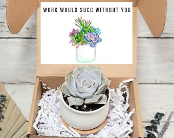 Work Would Succ Without You Gift- Thoughtful Work and Appreciation Gift