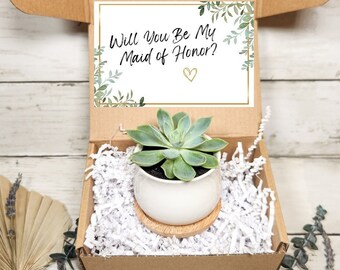 Will You Be Maid of Honor?- Maid of Honor Proposal Box- Maid of Honor Gift- Gift for her- Succulent Gift- Maid of Honor Proposal Card
