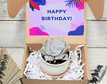 Happy Birthday Gift Box-Succulent Gift- Candle Gift