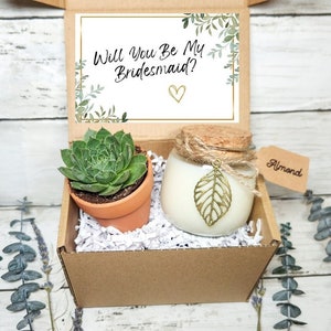 Will You Be My Bridesmaid- Bridesmaid Proposal Box- Bridesmaid Gift- Gift for her- Succulent Gift- Bridesmaid Proposal Card