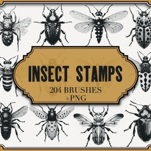 Könnte beinhalten: Eine Sammlung von schwarz-weißen Insektenstempeln, darunter Bienen, Käfer und andere Insekten. Das Bild zeigt ein zentrales Etikett mit dem Text "INSECT STAMPS" und "204 BRUSHES + PNG". Die Stempel sind auf einem cremefarbenen Hintergrund angeordnet.