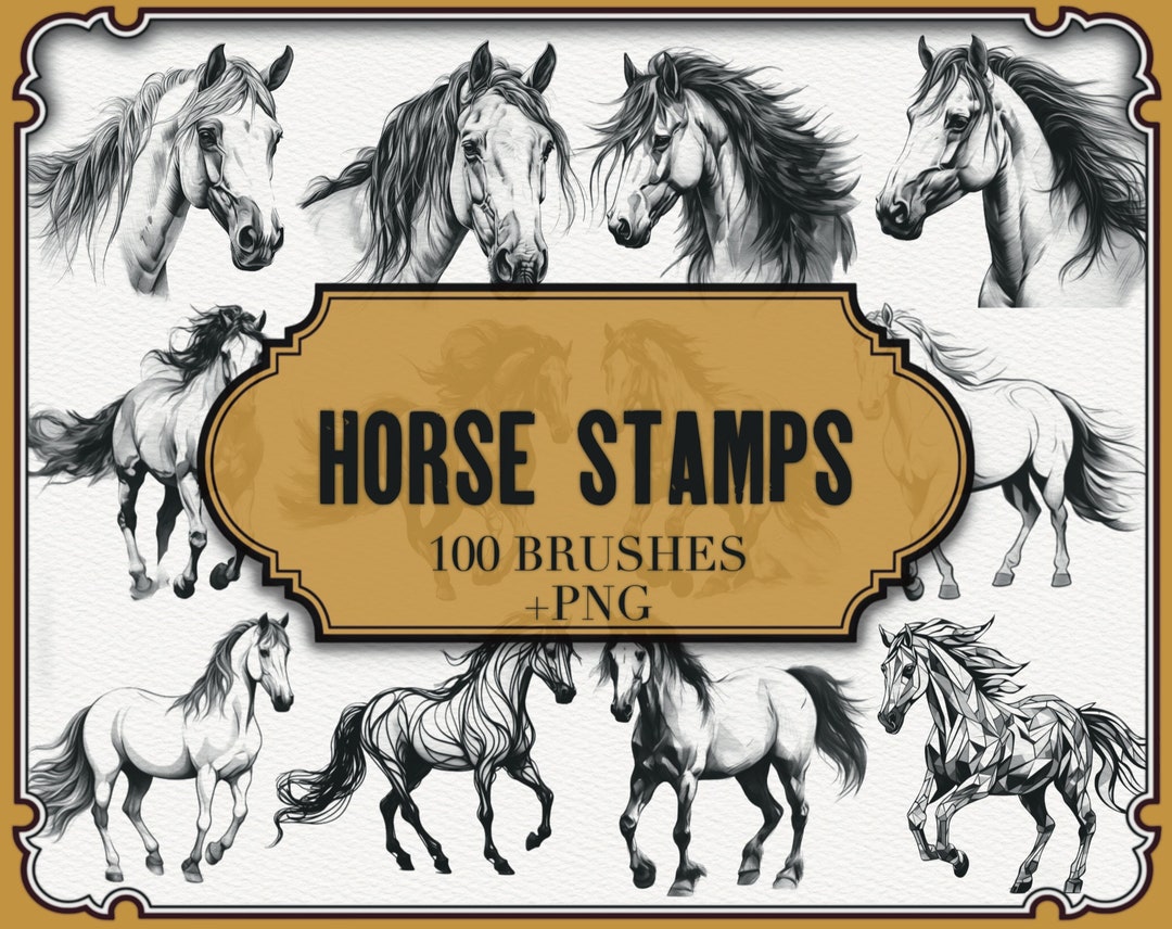 Horse Stamps for Procreate PNG Files Realistic Horses Brushes for