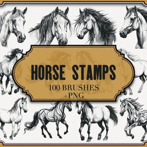 Sellos de caballos para Procreate/ + Archivos PNG/ Pinceles de caballos realistas para Procreate/ Sellos de animales/ Retrato de caballo/ Caballo corriendo/ Tatuaje de caballo/