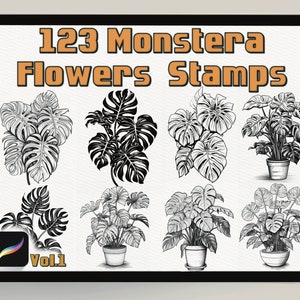 May include: Digital stamps of Monstera plants in various styles, including potted plants and individual leaves. The text "123 Monstera Flowers Stamps" is displayed in a brown font. The Procreate app logo and "Vol.1" are also visible.