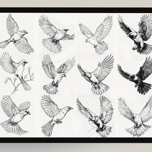 400 Procreate Bird Stamps Realistic Bird Brushes for Procreate Procreate Neo Traditional Birds Bird Black and Grey Tattoo Bird Line Art image 3