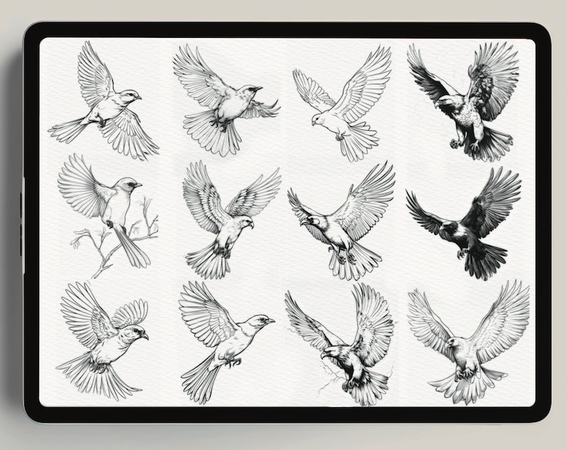 400 Procreate Bird Stamps Realistic Bird Brushes for Procreate Procreate Neo Traditional Birds Bird Black and Grey Tattoo Bird Line Art image 3