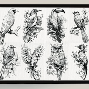 400 Procreate Bird Stamps Realistic Bird Brushes for Procreate Procreate Neo Traditional Birds Bird Black and Grey Tattoo Bird Line Art image 2