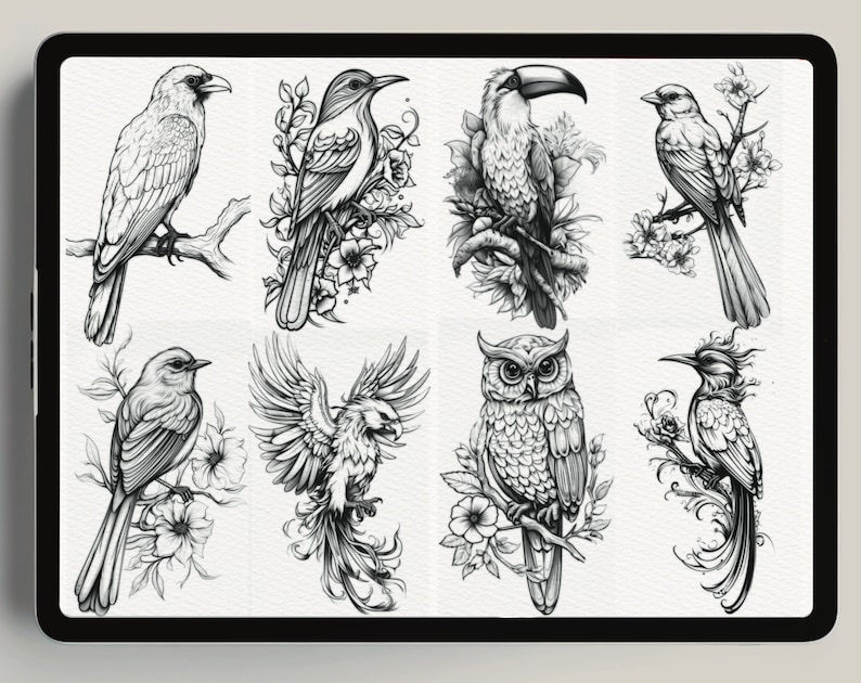 400 Procreate Bird Stamps Realistic Bird Brushes for Procreate Procreate Neo Traditional Birds Bird Black and Grey Tattoo Bird Line Art image 2