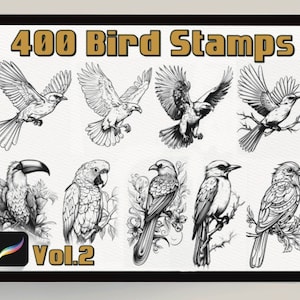 400 Procreate Bird Stamps Realistic Bird Brushes for Procreate Procreate Neo Traditional Birds Bird Black and Grey Tattoo Bird Line Art image 1