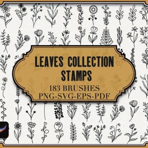 May include: A collection of 183 black and white leaf and flower brush stamps. The image shows a variety of leaves and flowers in a simple line art style. The text "Leaves Collection Stamps" and "183 Brushes PNG-SVG-EPS-PDF" is displayed in a gold frame.