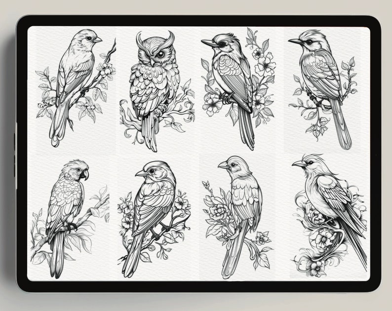 400 Procreate Bird Stamps Realistic Bird Brushes for Procreate Procreate Neo Traditional Birds Bird Black and Grey Tattoo Bird Line Art image 4
