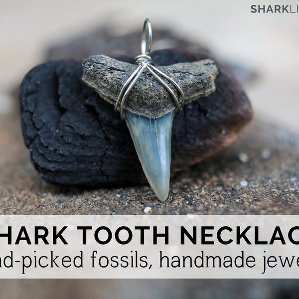 Shark Tooth Necklace, Unique Shark Fossil Jewelry, Shark Lovers Necklace, Handmade Jewelry, Unique Jewelry, Wire-Wrapped Shark Teeth