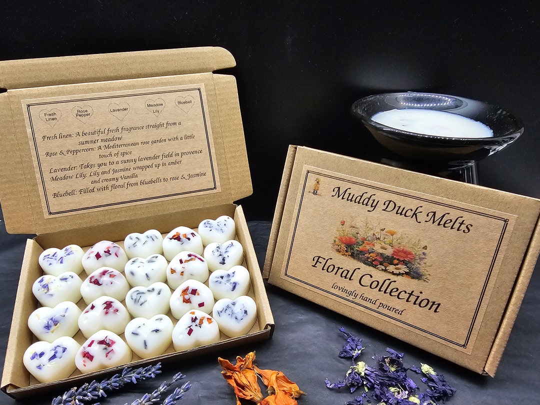 Salubrito Christmas Scented Wax Melts, Strong Scented Soy Wax Cubes/Tarts Variety